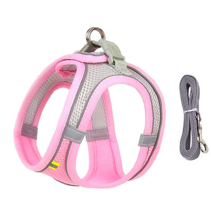 Adjustable Puppy and Cat Harness Set