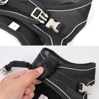 Adjustable Puppy and Cat Harness Set