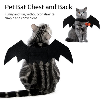 Bat Wings Pet Halloween Costume