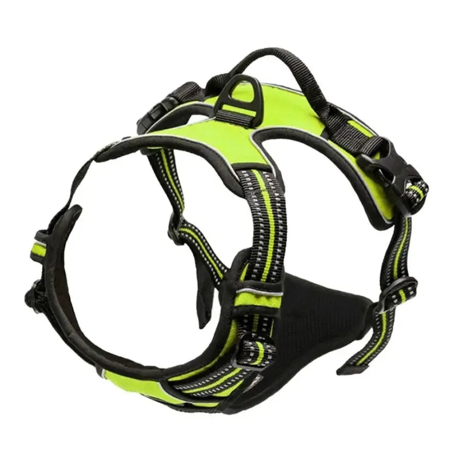 Premium Leather Walking Set