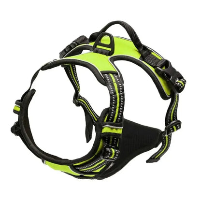 Premium Leather Walking Set