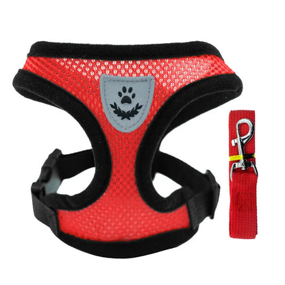 3D Air-Mesh Walking Set