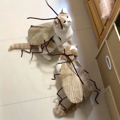 Cockroach Cat Costume with Wings