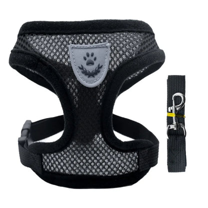 3D Air-Mesh Walking Set
