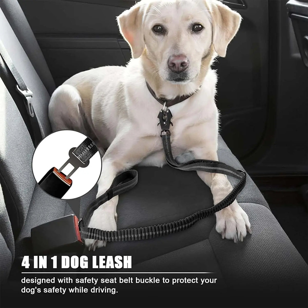 Reflective Shock-Absorbing Dog Leash