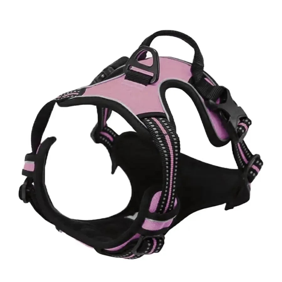 Premium Leather Walking Set
