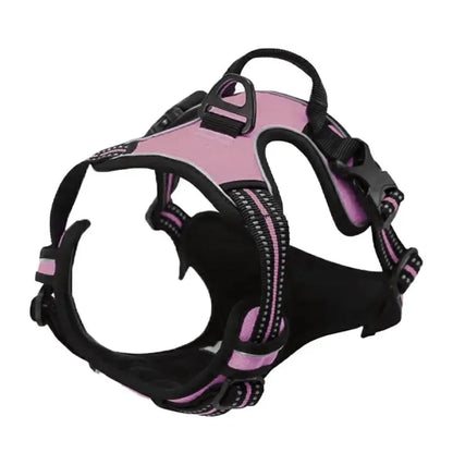 Premium Leather Walking Set