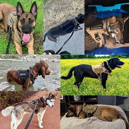 Tactical Molle Dog Harness
