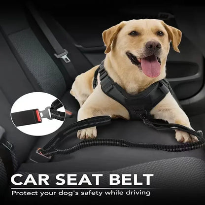 Heavy-Duty Dog Leash with Traffic Handle
