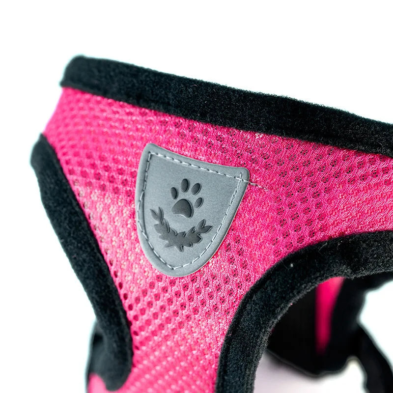 3D Air-Mesh Walking Set