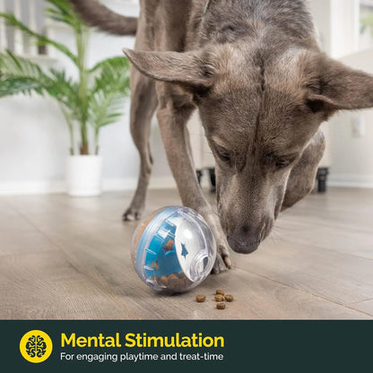 IQ Treat Ball Dog Dispenser