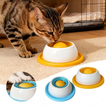 Interactive Slow Feeder Puzzle