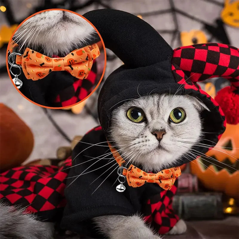 Halloween Breakaway Cat Collar