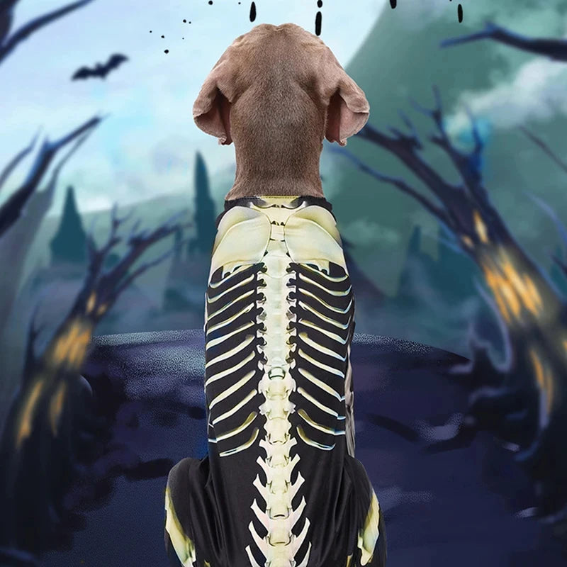 Dog Halloween Skeleton Costume