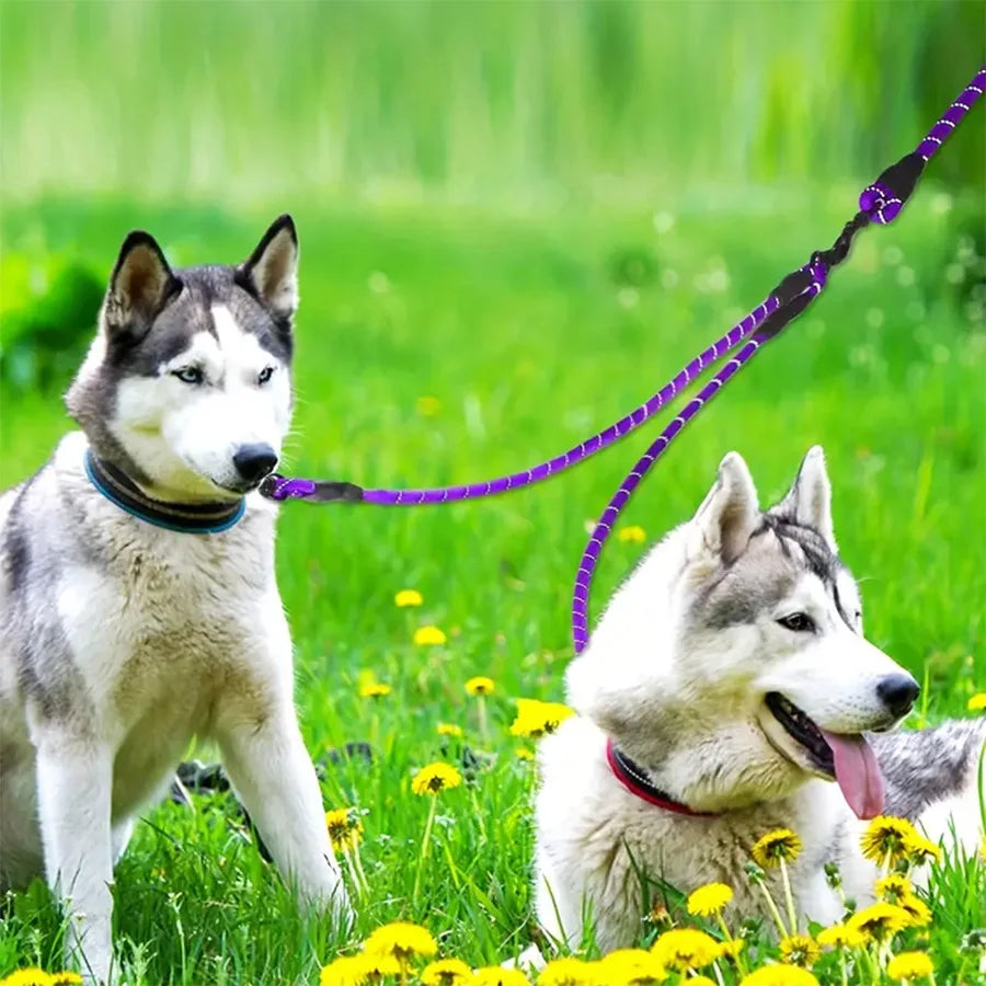 No-Tangle Dual Dog Leash