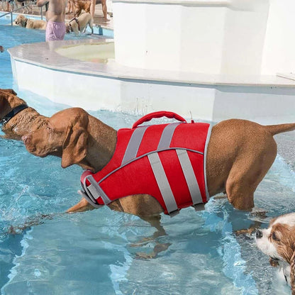 Reflective Dog Life Jacket