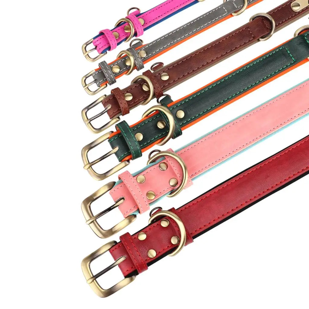 Engraved Leather Dog Collar and Leash Set