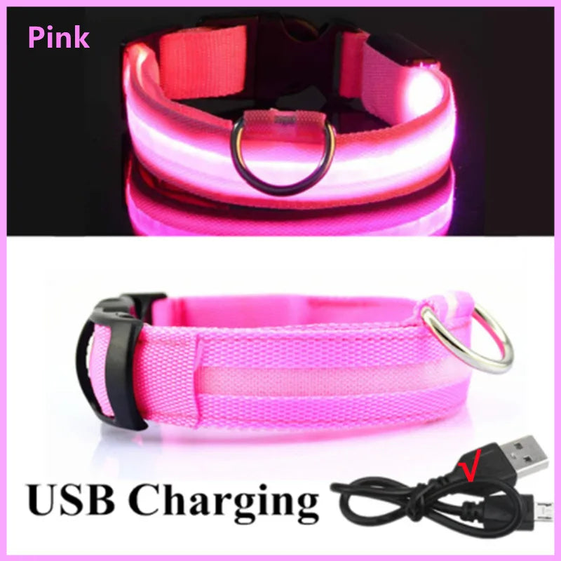 LED Light-Up Dog Collar
