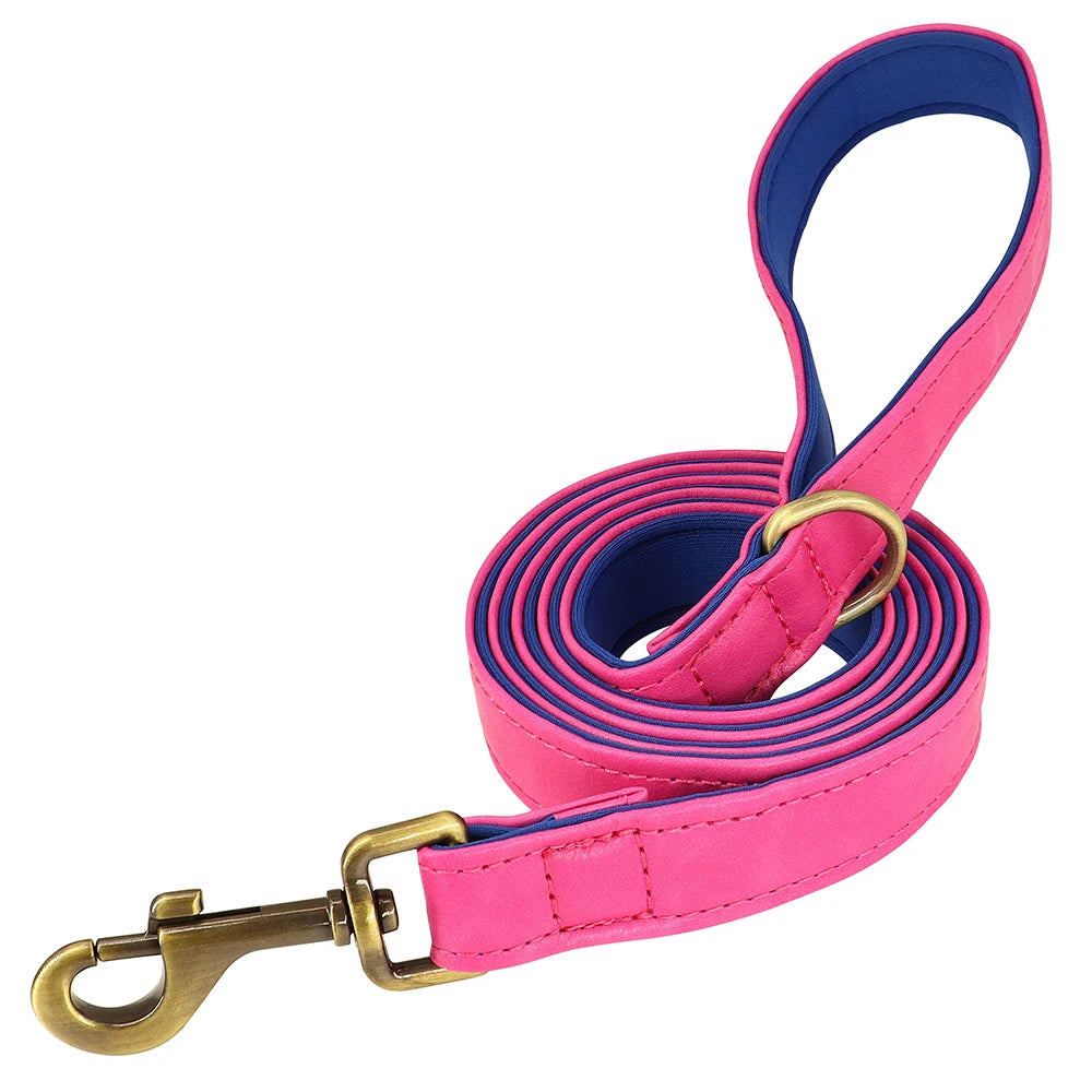 Engraved Leather Dog Collar and Leash Set
