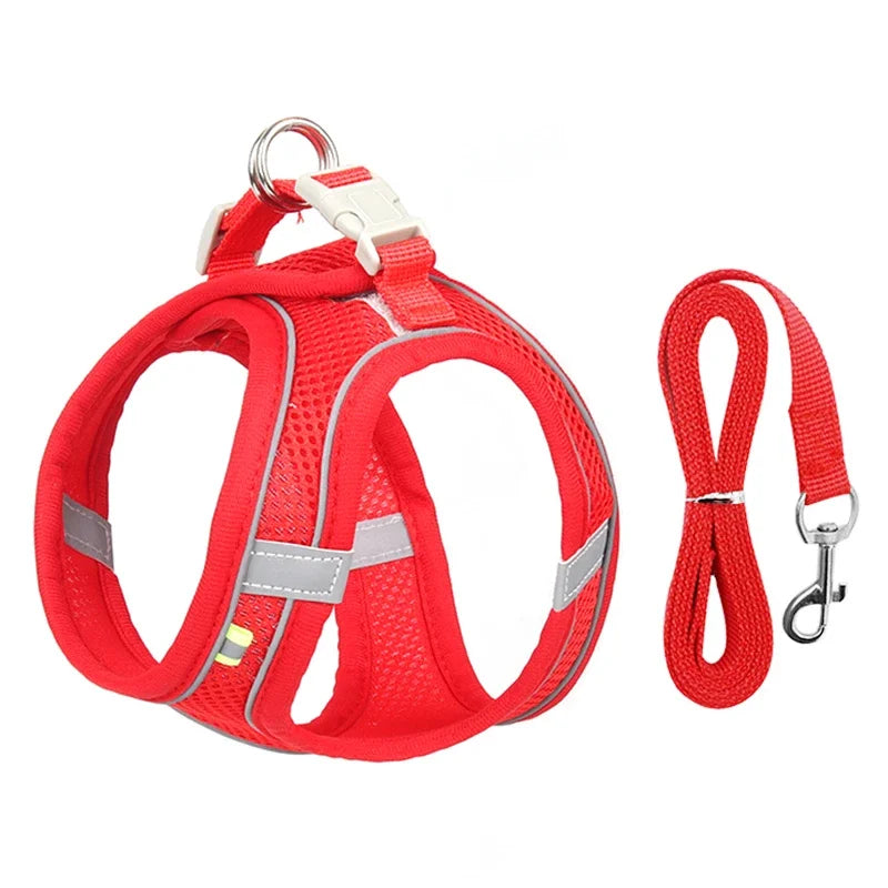 Adjustable Puppy and Cat Harness Set