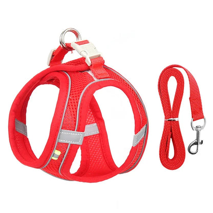 Adjustable Puppy and Cat Harness Set