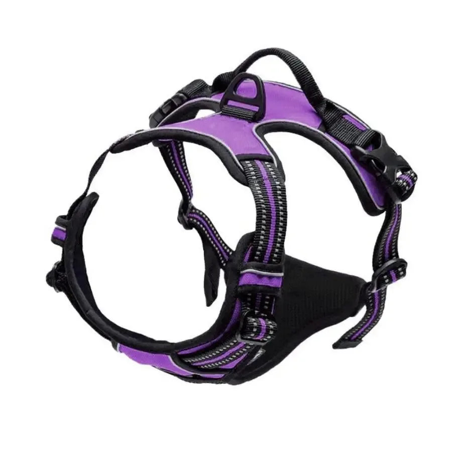 Premium Leather Walking Set