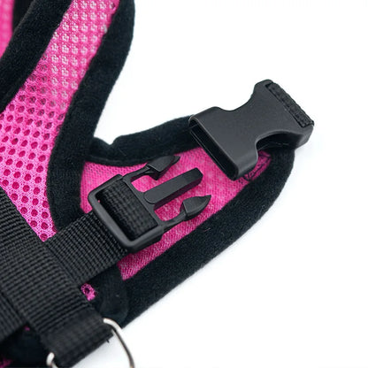 3D Air-Mesh Walking Set