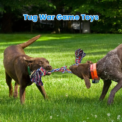 Durable Knot Dog Chew and Tug Toy