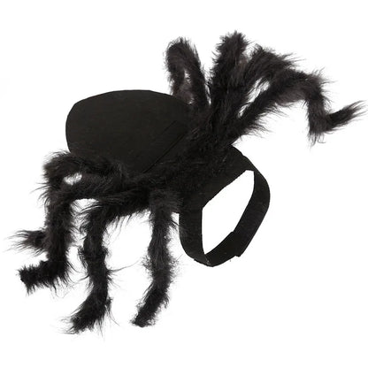 Halloween Spider Pet Costume