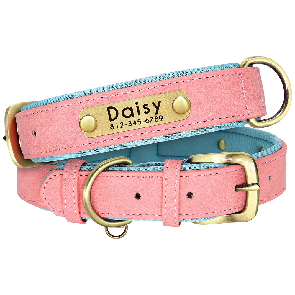 Engraved Leather Dog Collar and Leash Set