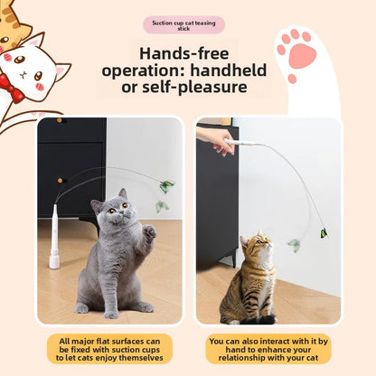 Electric Butterfly Cat Toy