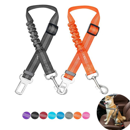 Dog Car Seat Belt