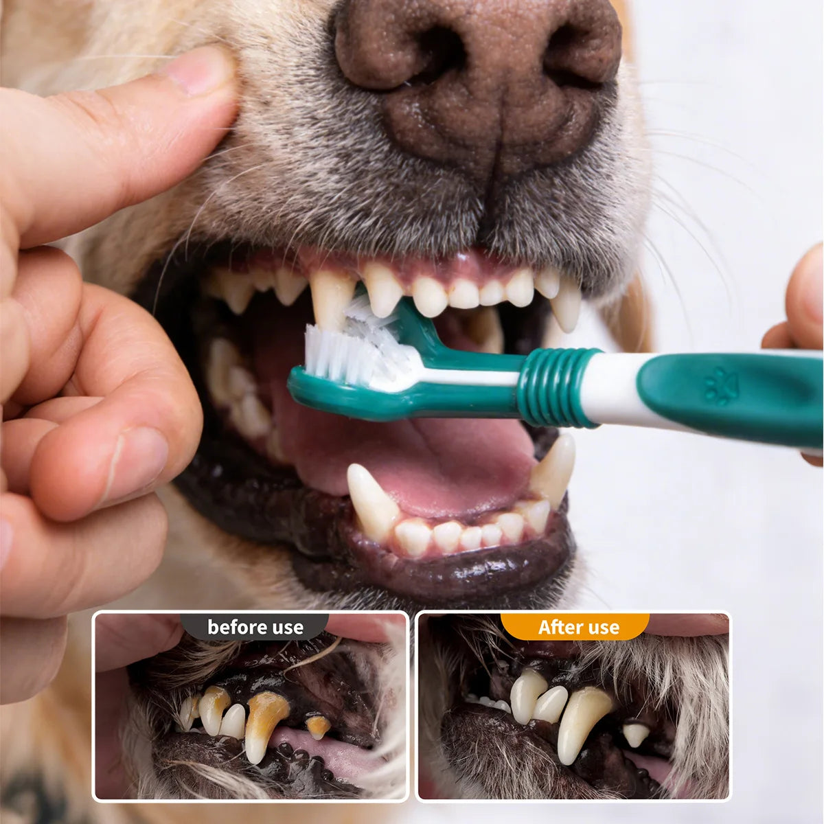 3-Sided Pet Toothbrush