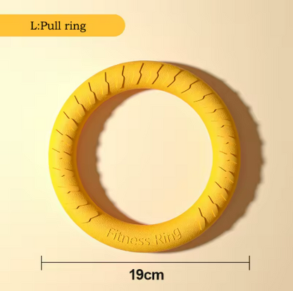 4-Pack EVA Dog Toy Set