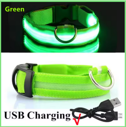 LED Light-Up Dog Collar