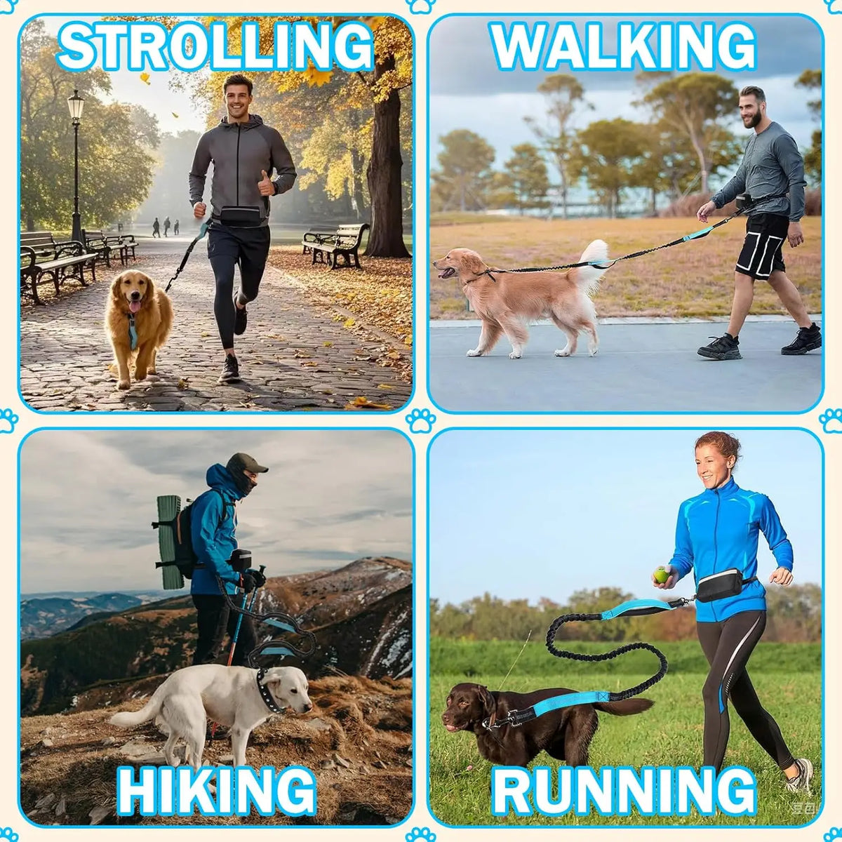 Bungee Waist Running Dog Leash