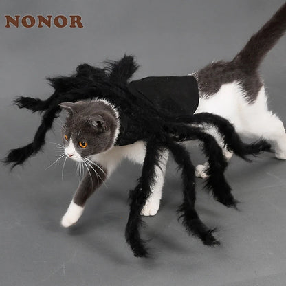 Halloween Spider Pet Costume