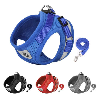 Reflective Mesh Cat and Dog Harness Set