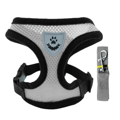 3D Air-Mesh Walking Set