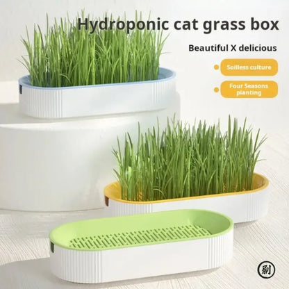 Hydroponic Cat Grass Grow Kit