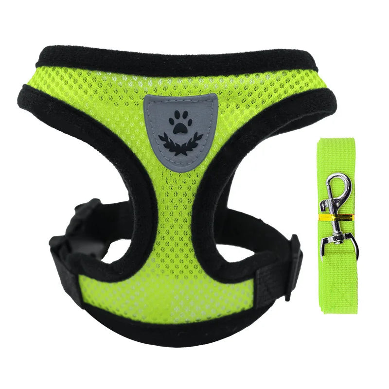 3D Air-Mesh Walking Set