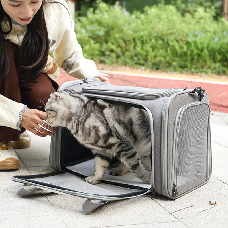 Airline-Approved Pet Carrier Backpack