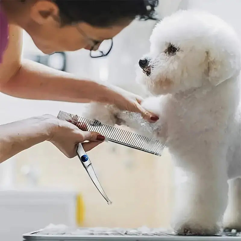 4-Piece Pet Grooming Scissors Set