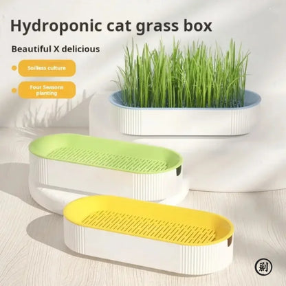 Hydroponic Cat Grass Grow Kit