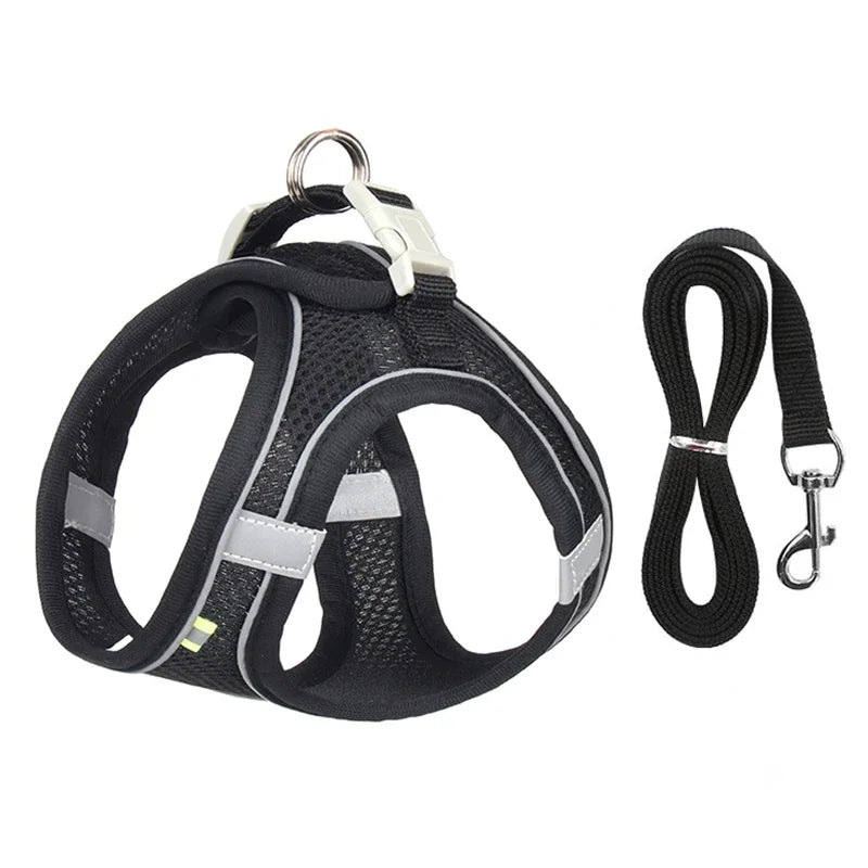 Adjustable Puppy and Cat Harness Set