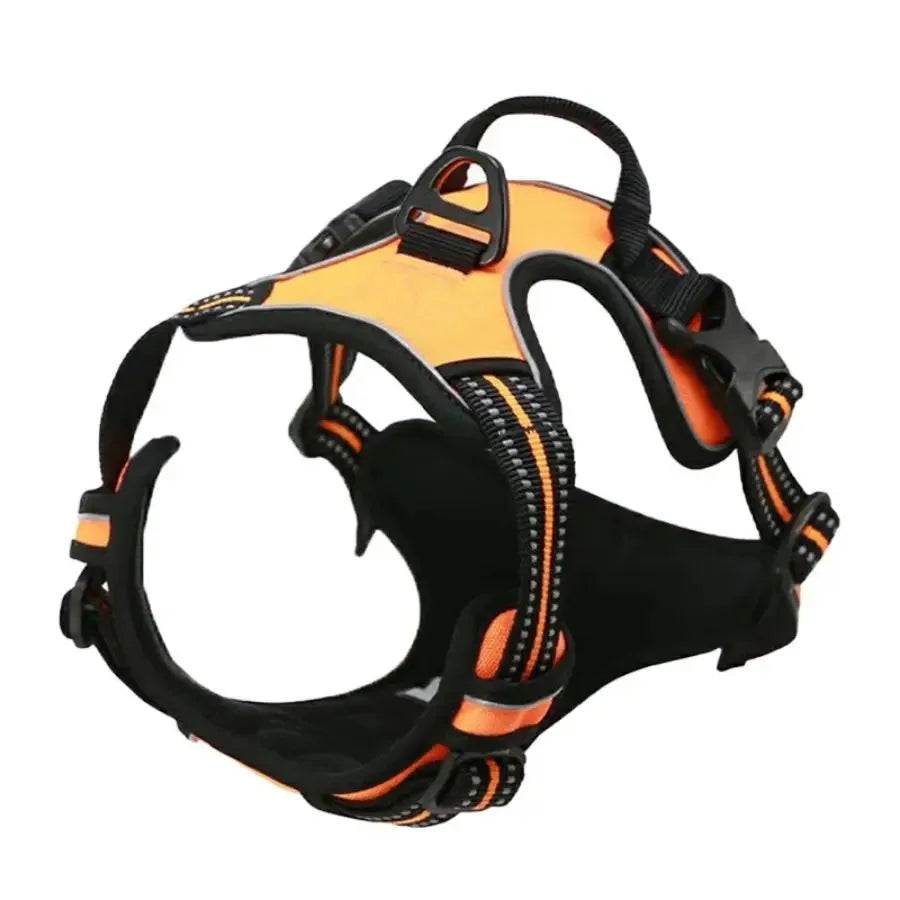 Premium Leather Walking Set