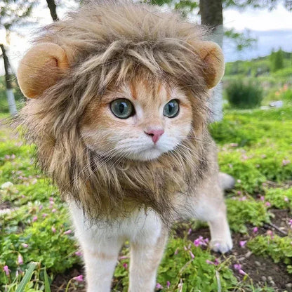Lion Mane Cat Costume Hat
