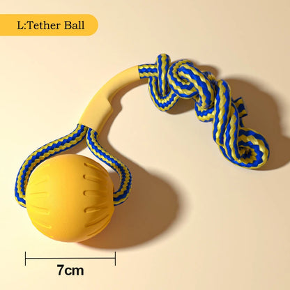 4-Pack EVA Dog Toy Set