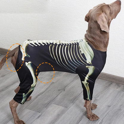 Dog Halloween Skeleton Costume