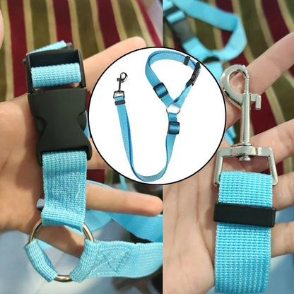 2-in-1 Dog Car Safety Belt and Leash